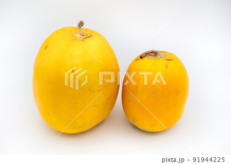 ホワイトバックの黄色い二つの真桑瓜 91944225