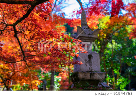 秋の京都・永観堂（禅林寺）で見た、石塔とその周りを彩る紅葉 91944763