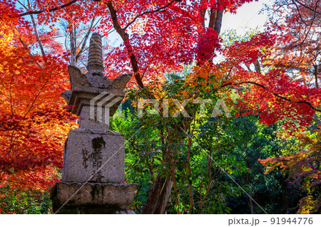 秋の京都・永観堂（禅林寺）で見た、石塔とその周りを彩る紅葉 91944776