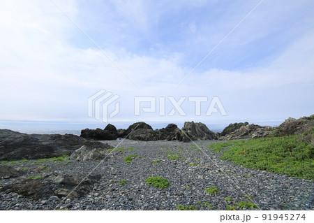 高知県室戸市 室戸岬 灌頂ヶ浜 高知県室戸市 室戸岬 灌頂ヶ浜 91945274