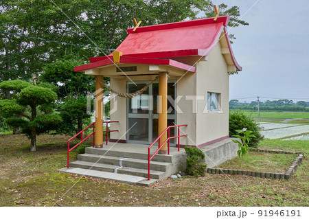 若宮神社（鹿児島県出水市高尾野町柴引） 91946191