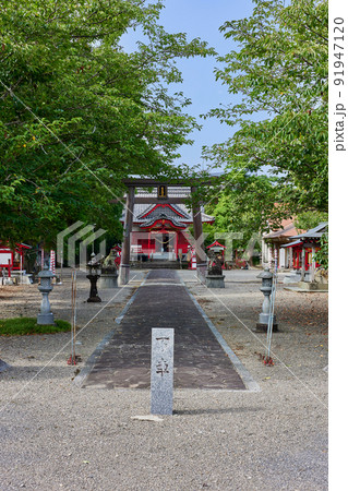紫尾神社(鹿児島県出水市高尾野町唐笠木) 紫尾神社(鹿児島県出水市高尾野町唐笠木) 91947120