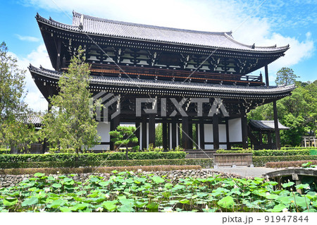 夏の朝に参拝した東福寺の国宝山門を蓮池から見上げる 91947844