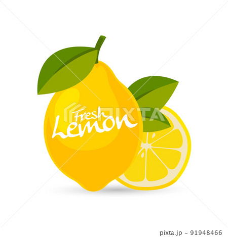 fresh lemon vector fresh lemon vector 91948466
