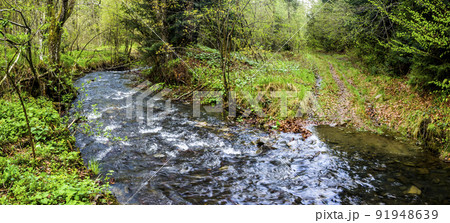 a forest river a forest river 91948639