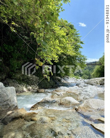 白州 尾白川 91948831