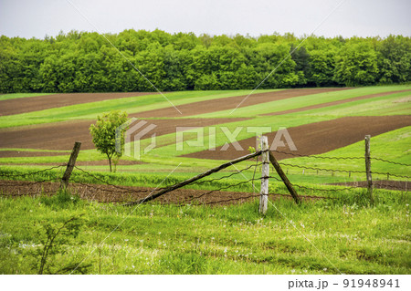 arable field and meadow in Ukrainian village arable field and meadow in Ukrainian village 91948941