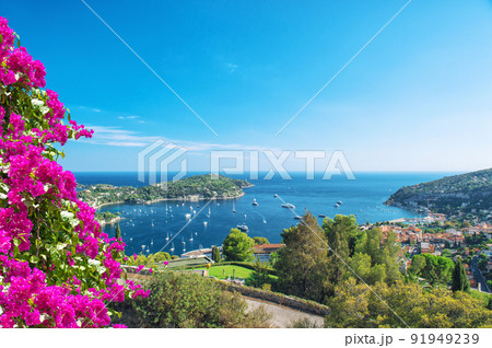 Mediterranean sea view Summer background rhododendron flowers 91949239