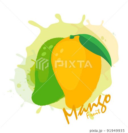 mango fruit 91949935