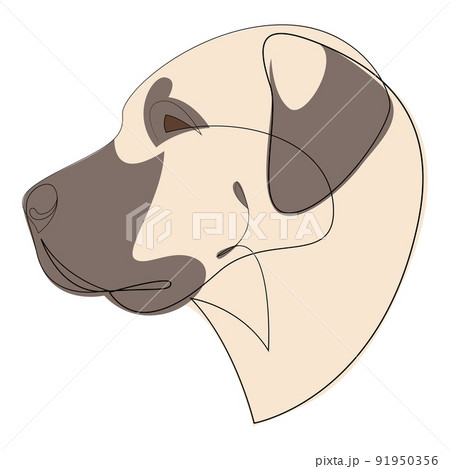 Continuous line Anatolian Shepherd. Single line minimalist style dog vector illustration. Portrait 91950356
