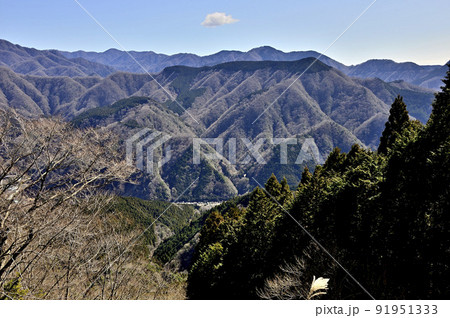 丹沢の世附権現山からの展望 表丹沢と檜岳山稜と大杉山山稜 丹沢の世附権現山からの展望 表丹沢と檜岳山稜と大杉山山稜 91951333