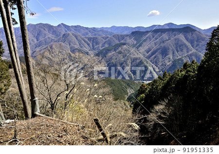 丹沢の世附権現山からの展望 檜洞丸と塔ノ岳と檜岳と大杉山 丹沢の世附権現山からの展望 檜洞丸と塔ノ岳と檜岳と大杉山 91951335