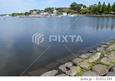 手賀沼 利根川水系 91951399