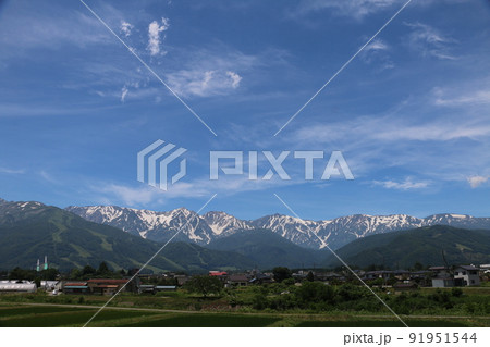 残雪をいただく初夏の白馬連峰 残雪をいただく初夏の白馬連峰 91951544