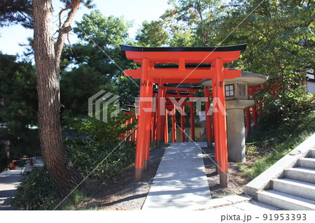 副参道鳥居_住吉神社_小樽 副参道鳥居_住吉神社_小樽 91953393