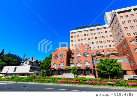 東京 港区白金台 明治学院大学(白金キャンパス) 東京 港区白金台 明治学院大学(白金キャンパス) 91954288