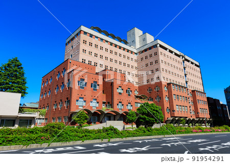 東京　港区白金台　明治学院大学（白金キャンパス） 91954291