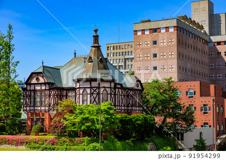 東京 港区白金台 明治学院大学(白金キャンパス) 東京 港区白金台 明治学院大学(白金キャンパス) 91954299
