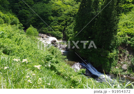 河川公園 91954372
