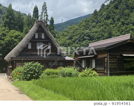 越中五箇山 菅沼合掌造り集落 越中五箇山 菅沼合掌造り集落 91954561