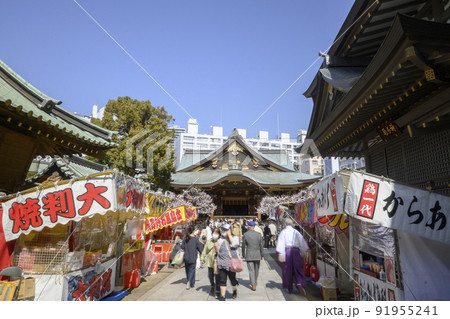湯島天満宮 梅まつりで賑わう境内 東京都文京区 湯島天満宮 梅まつりで賑わう境内 東京都文京区 91955241