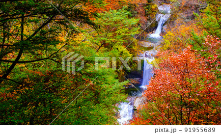 尾白川渓谷：神蛇滝（秋） 91955689