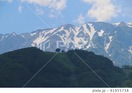 八方尾根の残雪を背景にしたシルエット 91955738