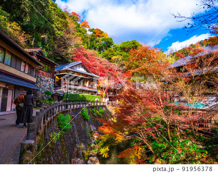 鮮やかな紅葉と箕面川 91956378