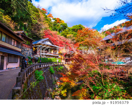 鮮やかな紅葉と箕面川 91956379