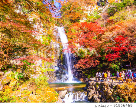 箕面の滝と紅葉 箕面の滝と紅葉 91956469