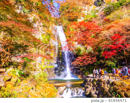 箕面の滝と紅葉 箕面の滝と紅葉 91956471