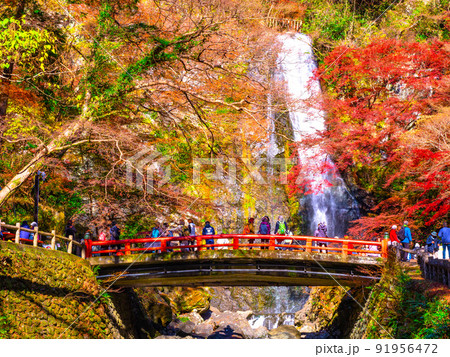 箕面の滝と紅葉 91956472