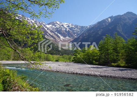 初夏の上高地【河童橋周辺の絶景】 初夏の上高地【河童橋周辺の絶景】 91956582