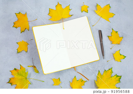 An open blank diary notebook, calendar and yellow leaves on grey concrete table. . 91956588