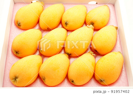 びわ　箱入り 91957402