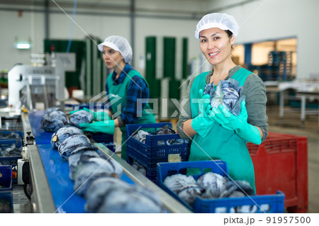 Smiling asian workwoman sorting red cabbages in vegetable factory Smiling asian workwoman sorting red cabbages in vegetable factory 91957500