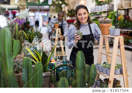 Flower shop female seller holding cactus pots Flower shop female seller holding cactus pots 91957504