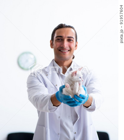 Young male doctor examining sick cat Young male doctor examining sick cat 91957604