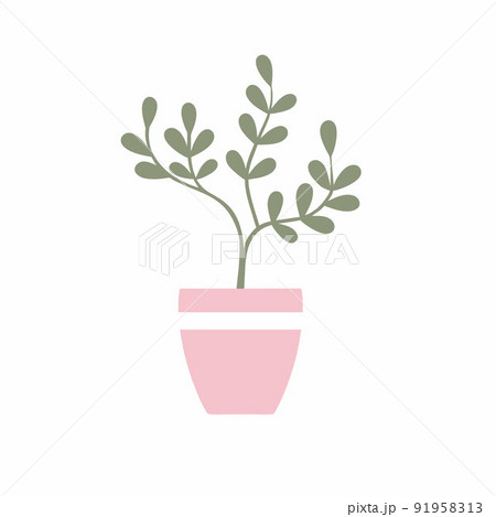 A money tree in a flower pot. Object for interior design. Indoor flower isolated on a white background. 91958313