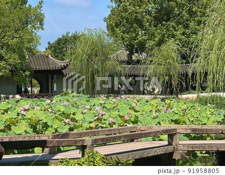 【中国・蘇州】世界遺産の拙政園 91958805