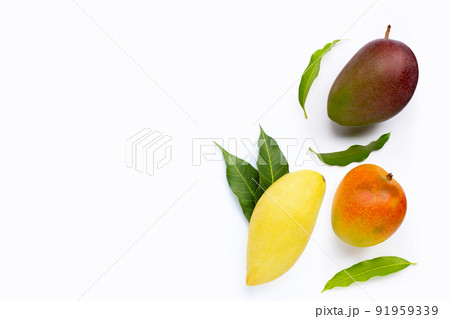 Mango on white background. Top view 91959339