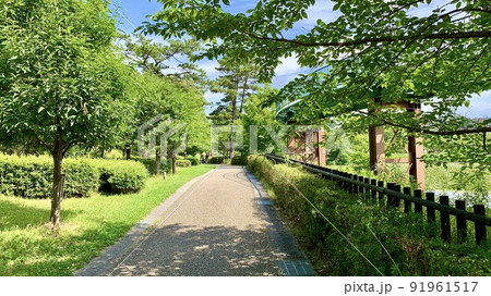 新緑の遊園地［南公園/愛知県岡崎市］ 91961517