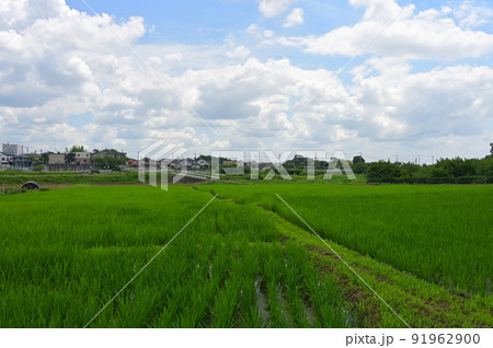 厚木郊外の田園風景 91962900