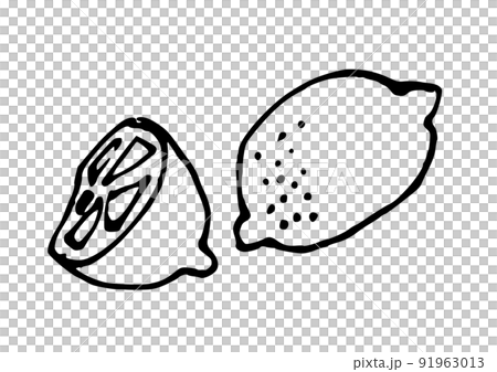 Lemon simple illustration line drawing 91963013