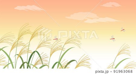 ススキと夕焼け_風景_背景（2：1） 91963068