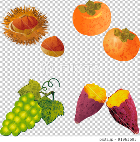 Autumn Autumn taste Gifts Fruits Vegetables Watercolor Analog touch Cute illustration material set 91963693