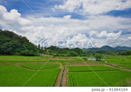 夏を感じる里の風景 夏を感じる里の風景 91964104