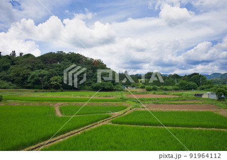 夏の中荻野風景 夏の中荻野風景 91964112