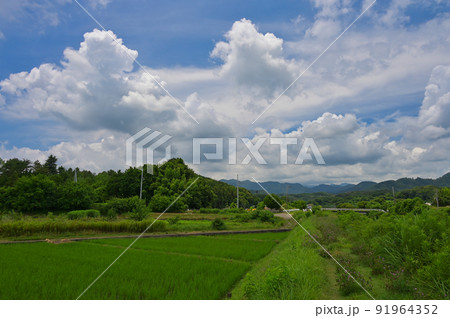 中荻野の里風景 91964352