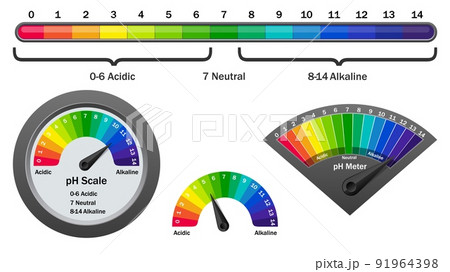 pH meter checking acidity level, vector illustration pH meter checking acidity level, vector illustration 91964398